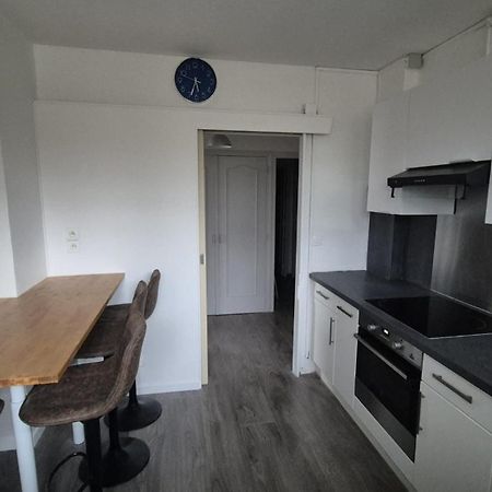 Appartement Spacieux & Paisible Meythet Extérieur photo